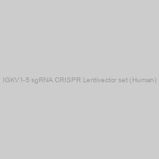 Image of IGKV1-5 sgRNA CRISPR Lentivector set (Human)
